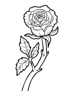 Flower Botanical Rose Tracing Shape Pdf, Free Vectors File